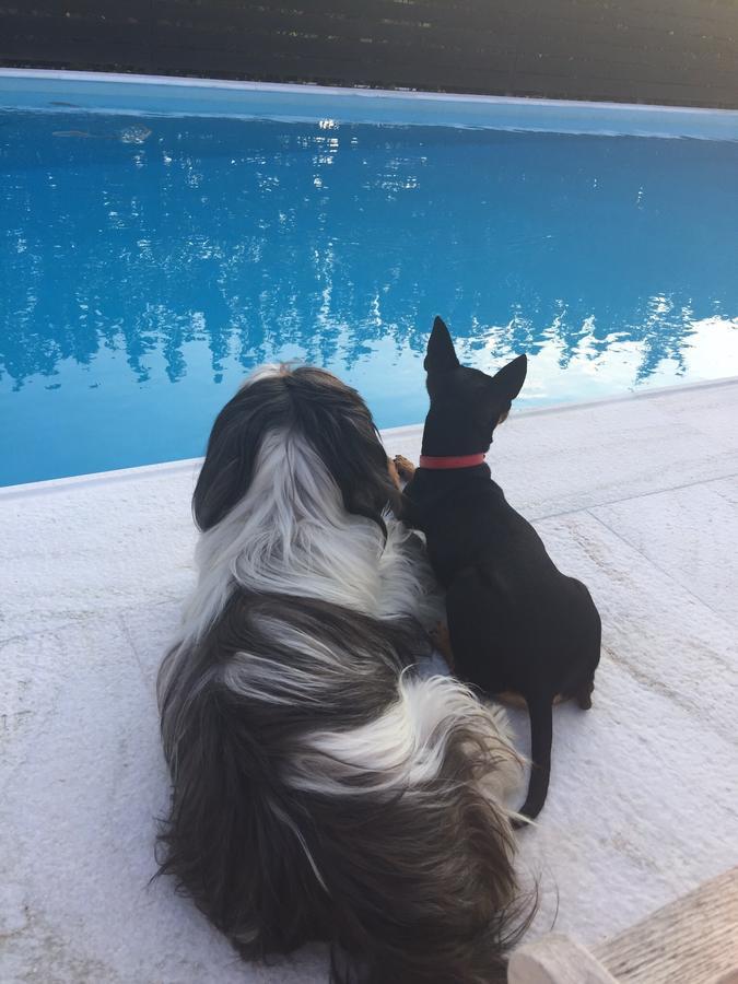 Villa Glyfada Spilia  外观 照片